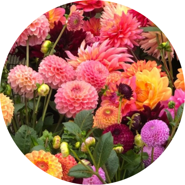 Go to the profile of Nicola Partridge