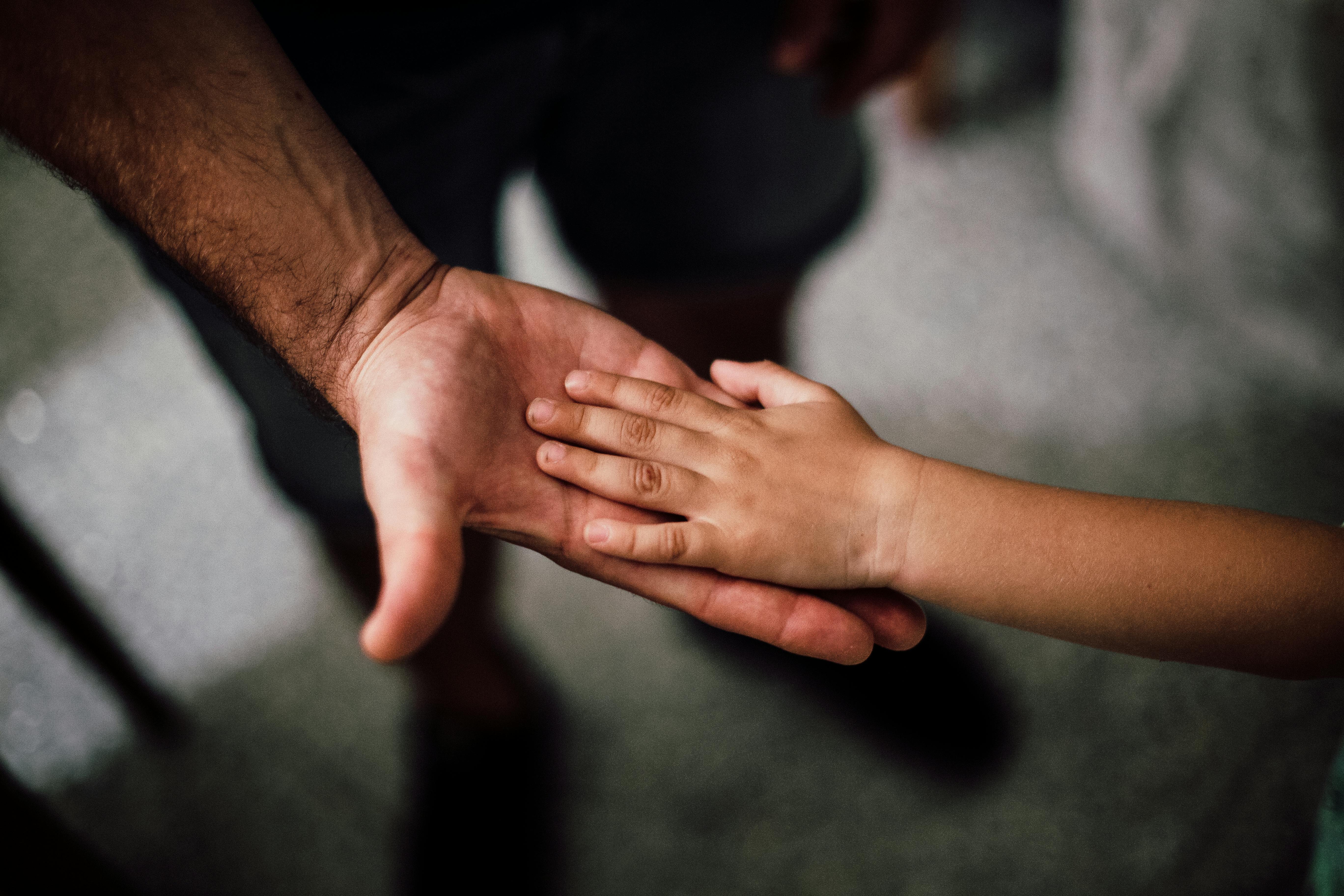 Free webinar: Shaping the future of EHCPs