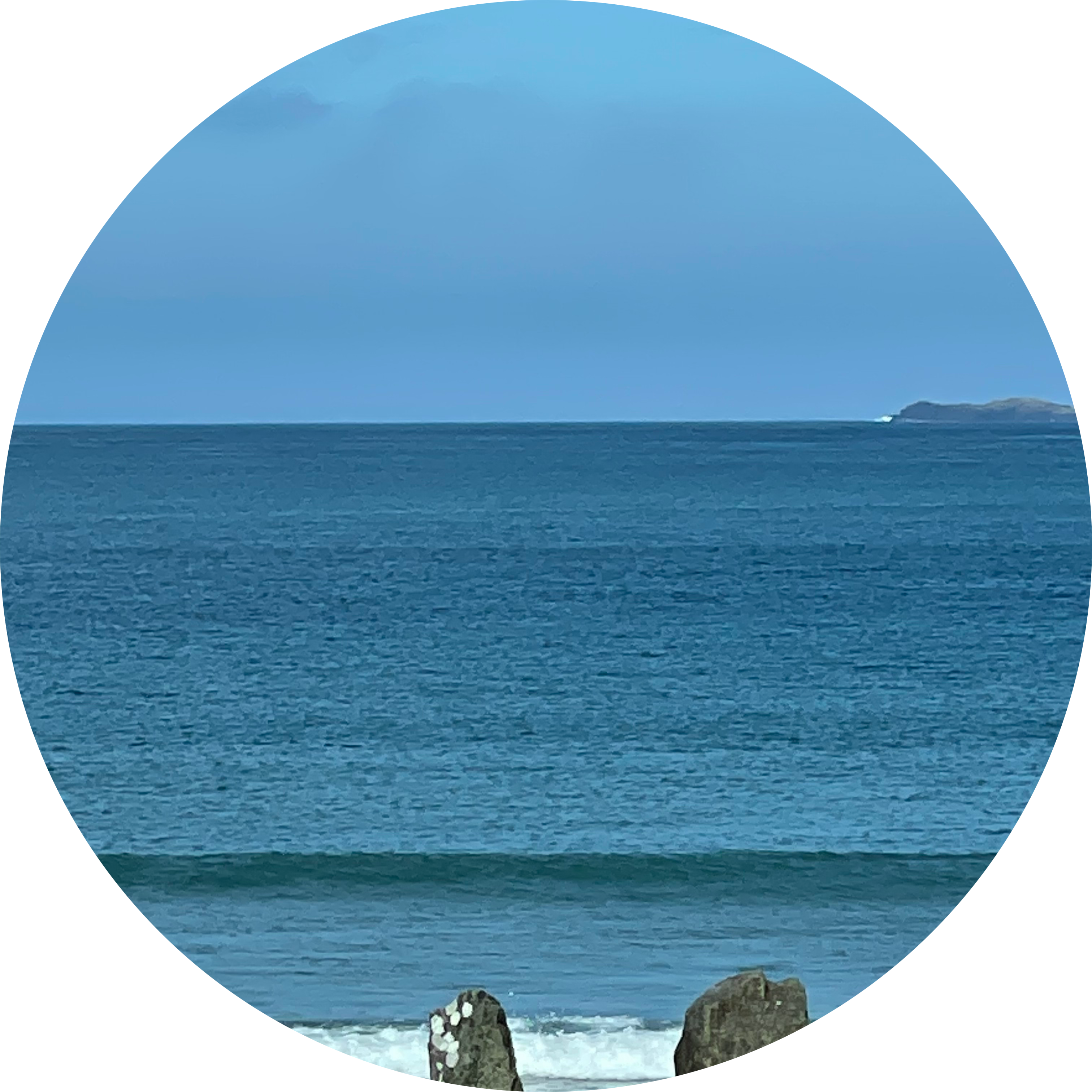 Go to the profile of Sarah