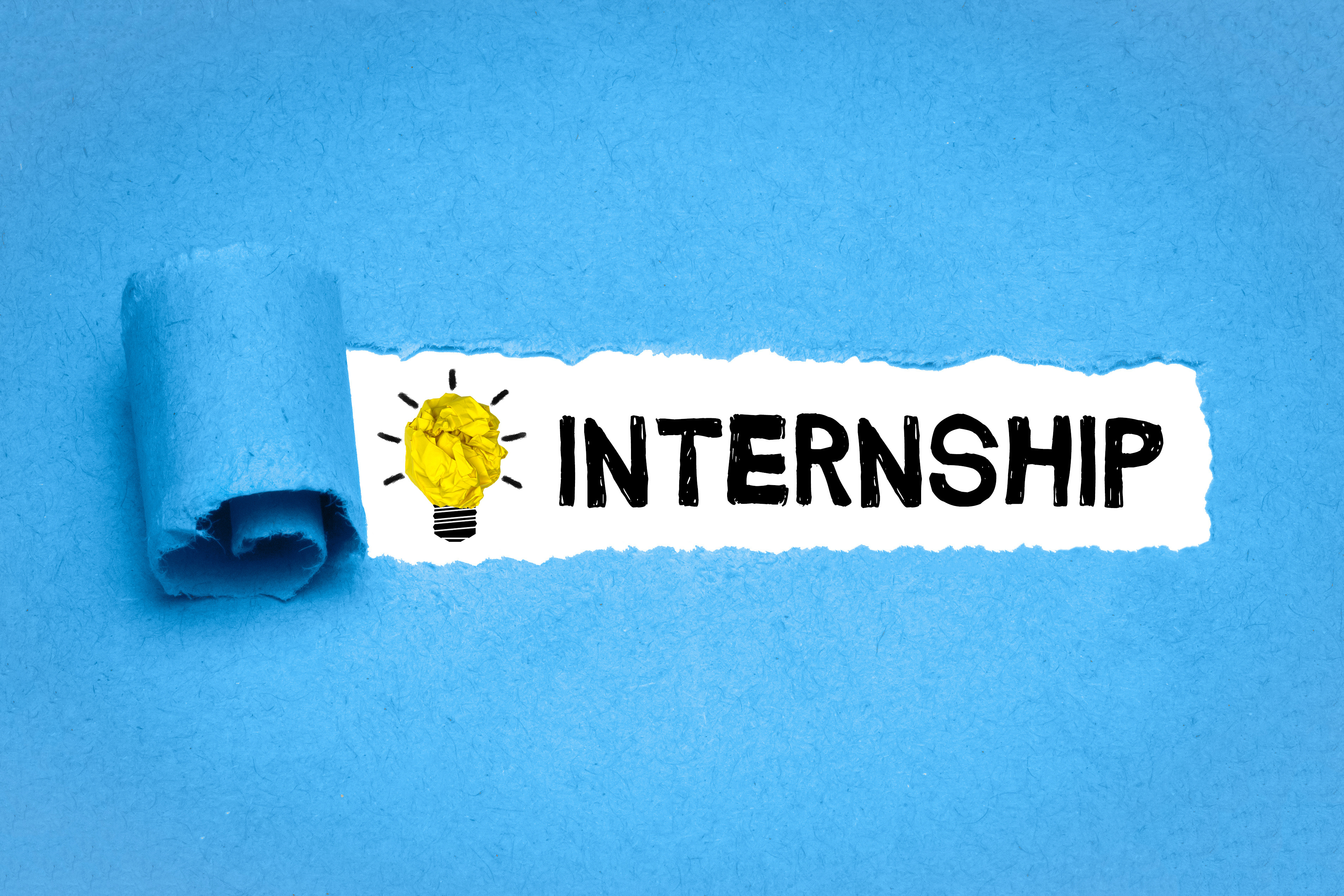 Investing in Potential: The Impact and Value of Somerset’s Supported Internships